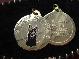 metal adress for dogs "dick"