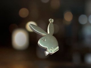  металлические кулоны - подвески "playboy