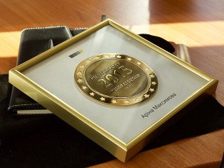 медаль "риелтор года"