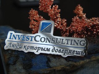 шильды из металла по контуру логотипа