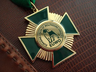 Нагрудный знак на планке "EUWO"