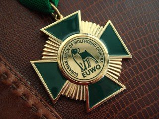 Нагрудний знак на планці "EUWO"