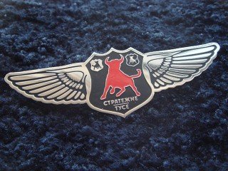 wings pins "stratius tus"