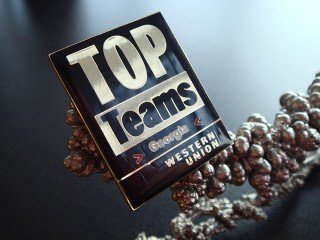 metal pins with enamel and polymer