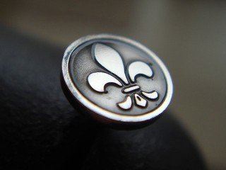 pins with heraldic lily